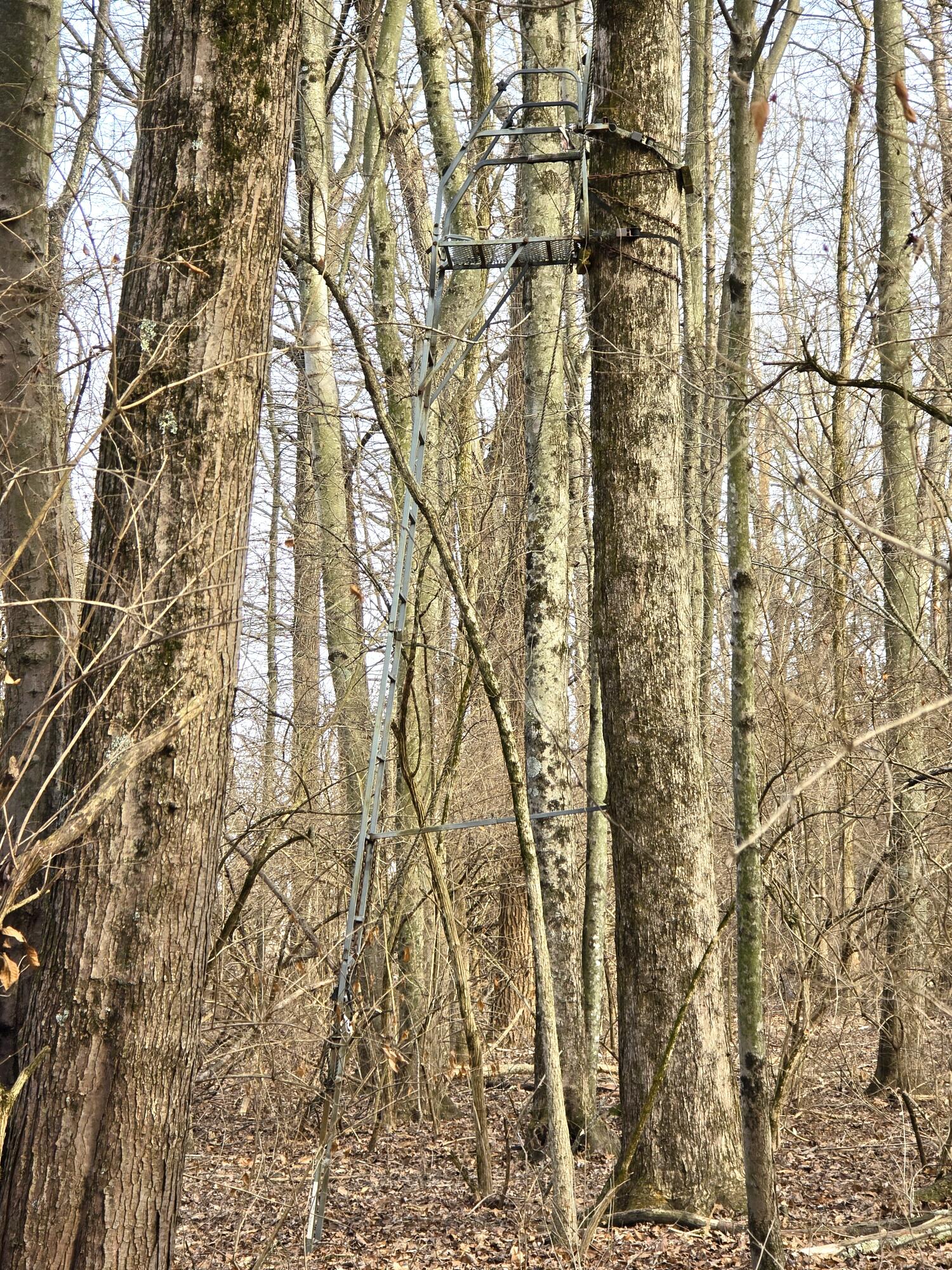 414 Sparrow Road, Springfield, Ohio 45502