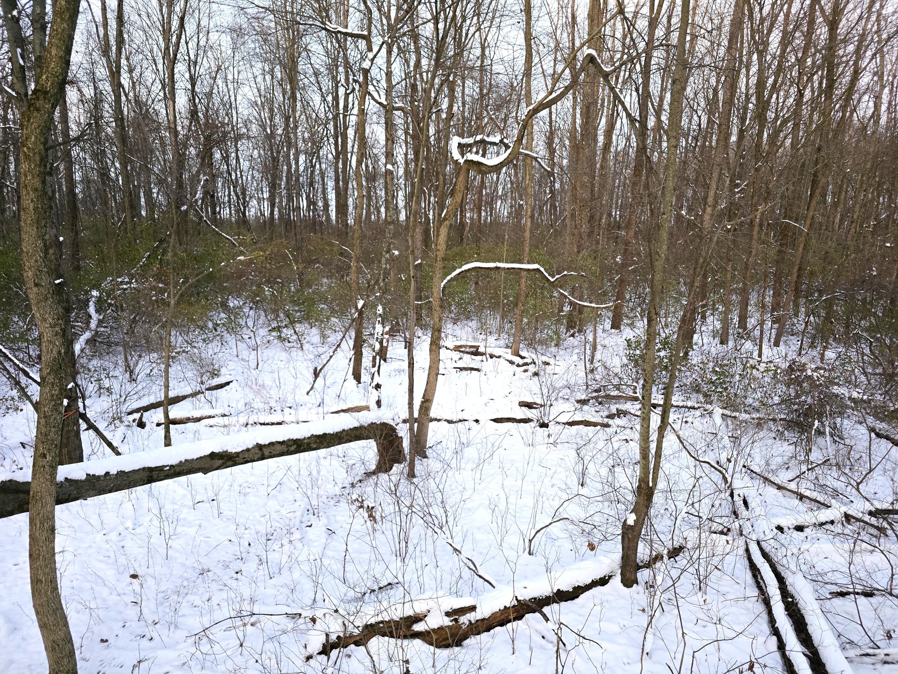 414 Sparrow Road, Springfield, Ohio 45502