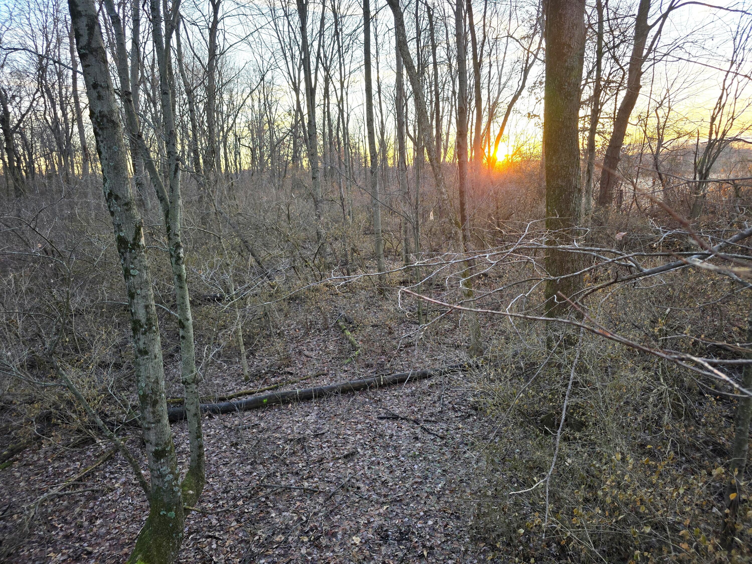 414 Sparrow Road, Springfield, Ohio 45502