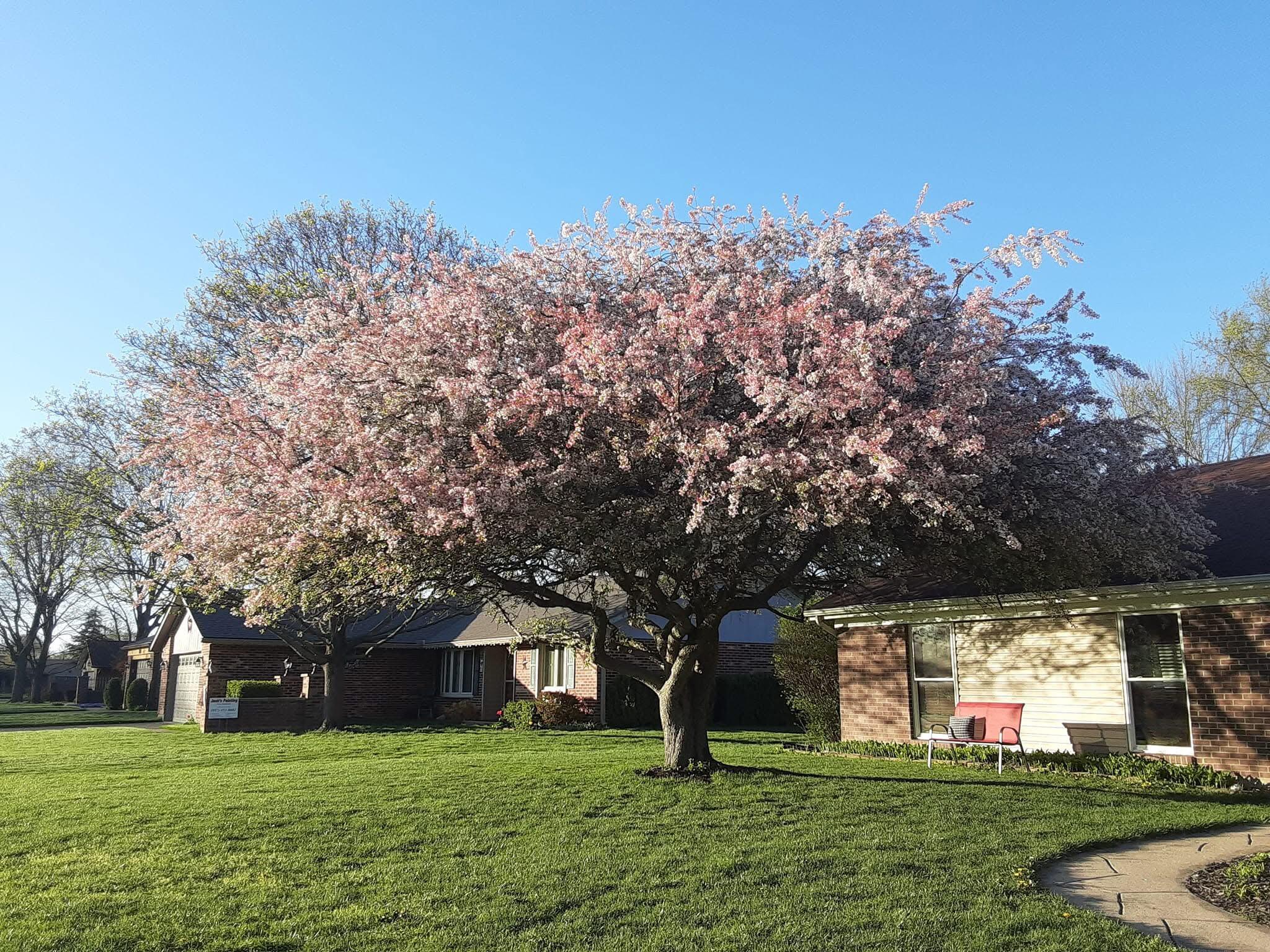 1117 Scenic Court, Troy, Ohio 45373