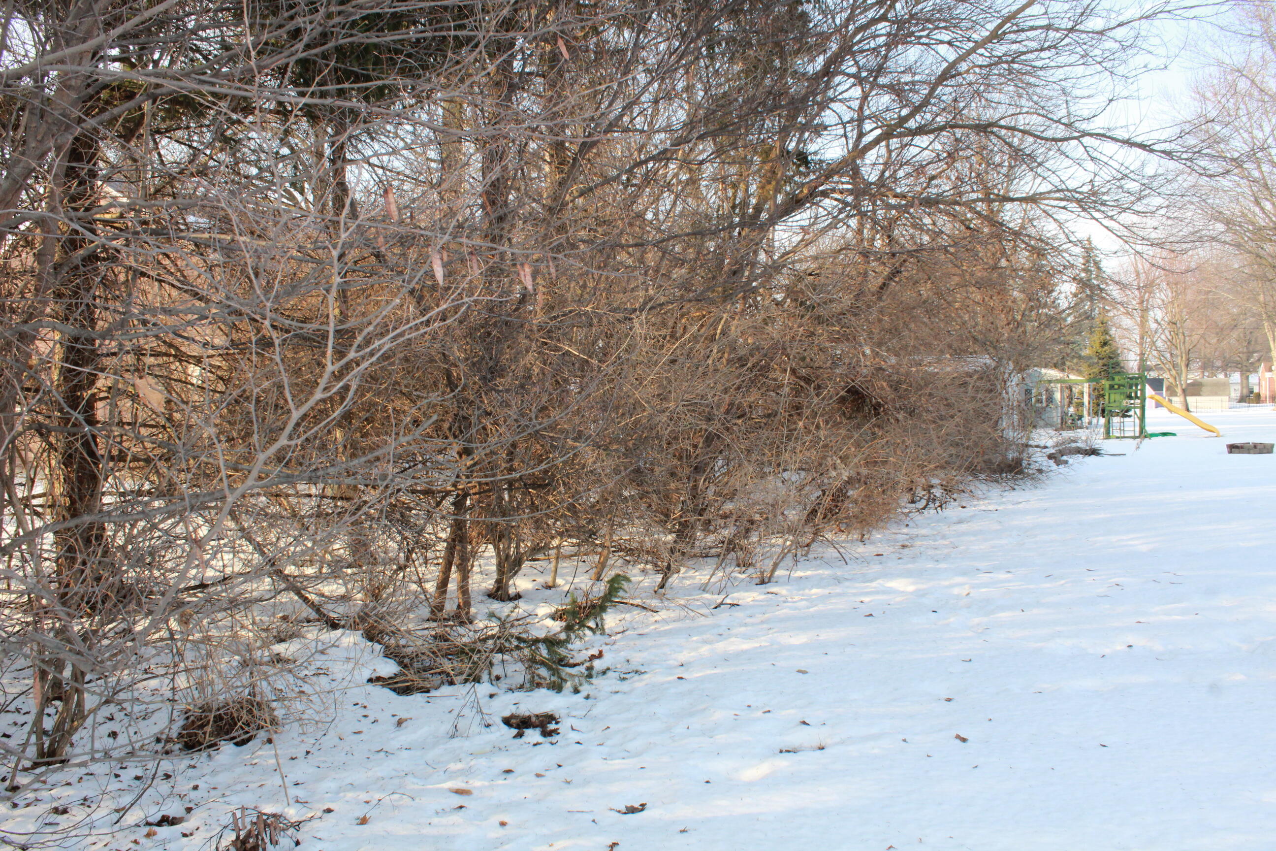 609 Cherry Street, Celina, Ohio 45822