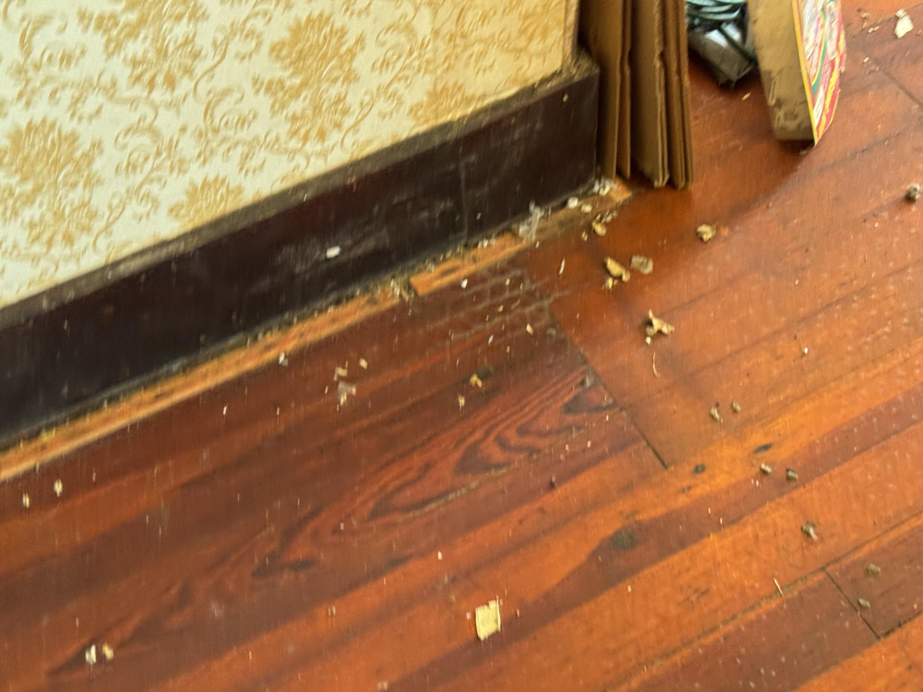 6404 Township Road 55, Bellefontaine, Ohio 43311