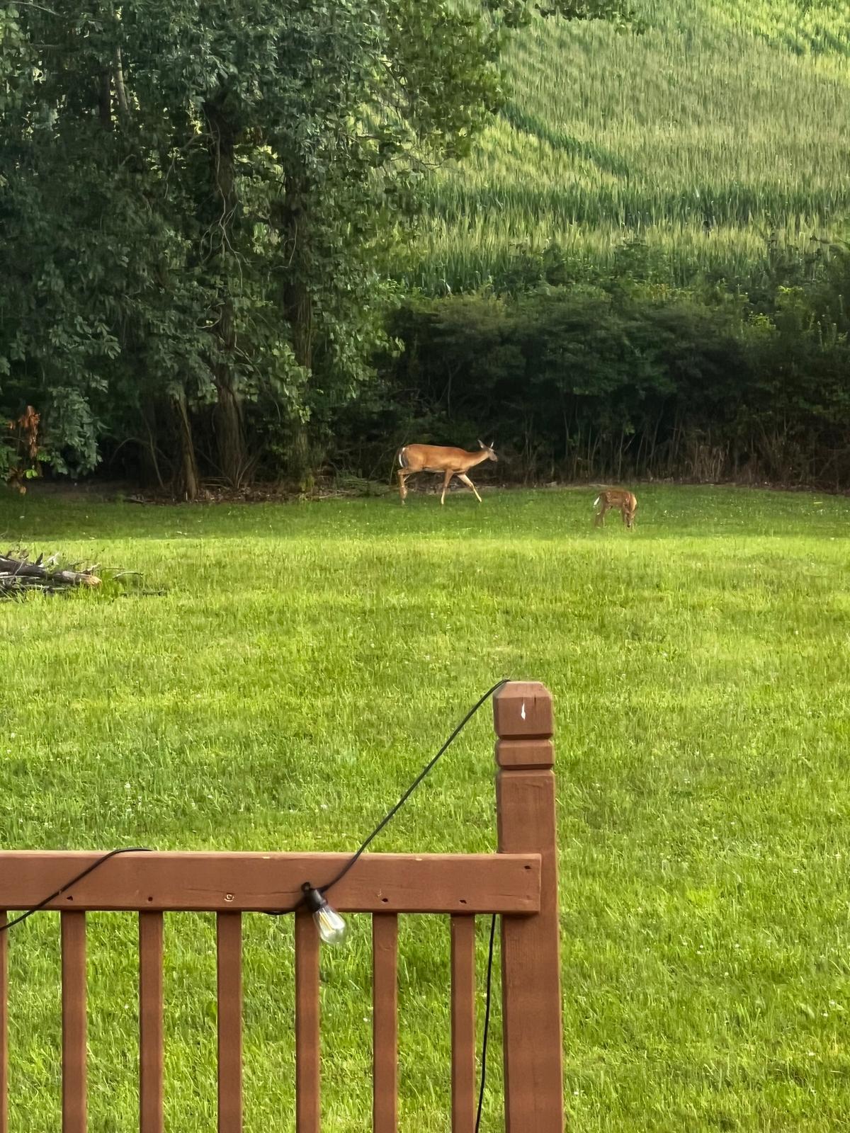 2720 Township Road 136, Bellefontaine, Ohio 43311