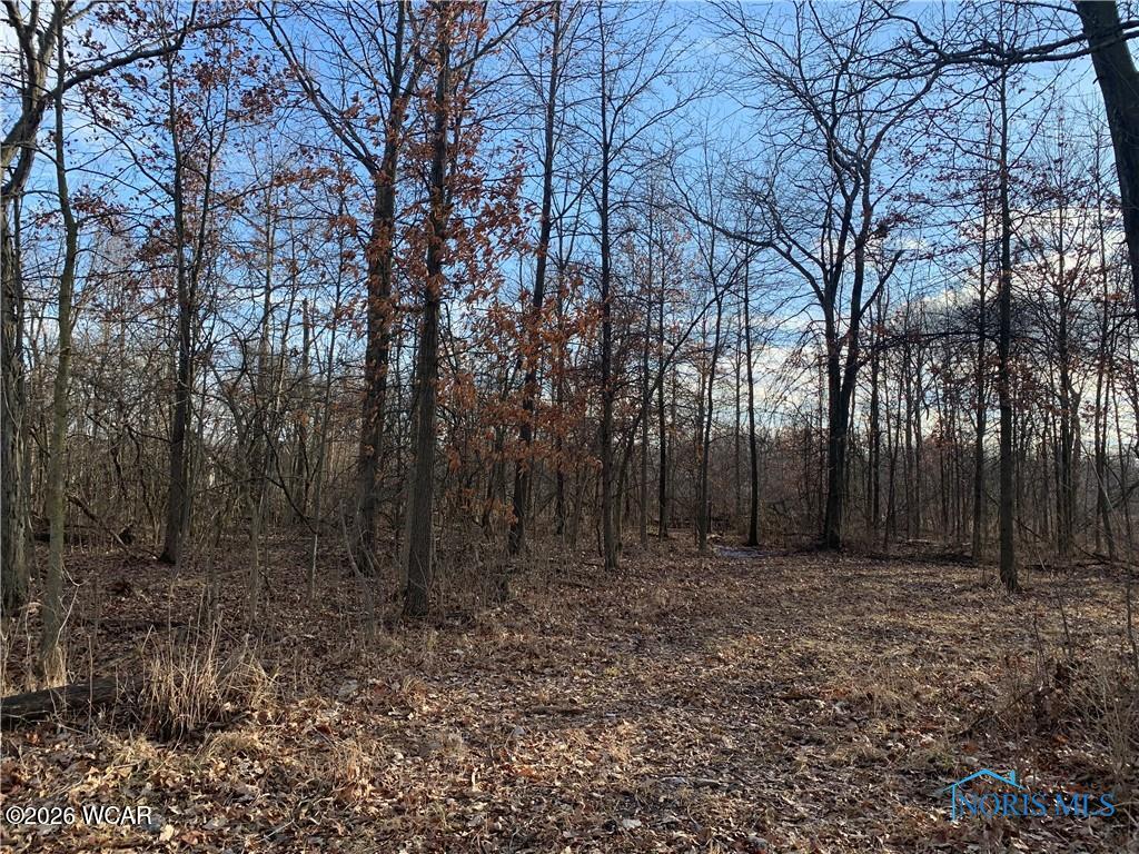 575 Cleveland Avenue, Defiance, Ohio