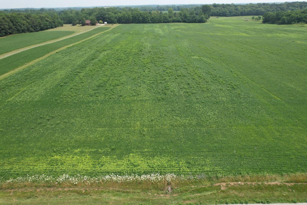 . County Road 49, Belle Center, Ohio 43310