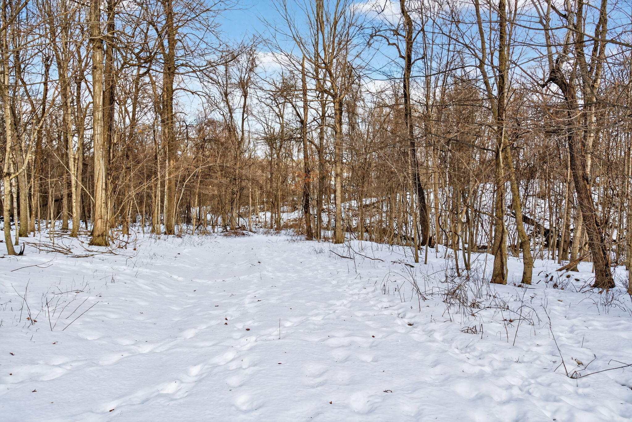 0 Township Road 55, Bellefontaine, Ohio 43311