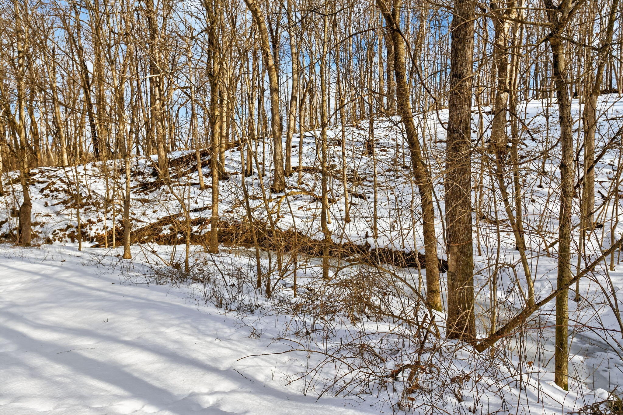 0 Township Road 55, Bellefontaine, Ohio 43311