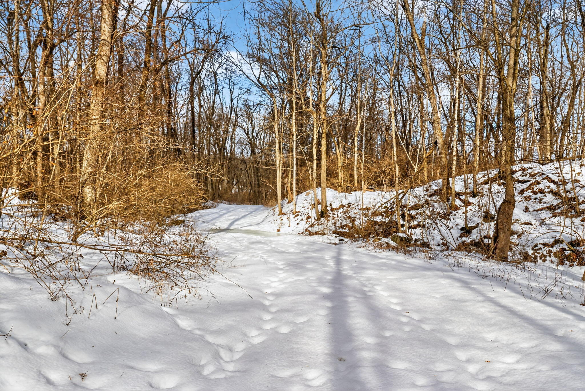 0 Township Road 55, Bellefontaine, Ohio 43311