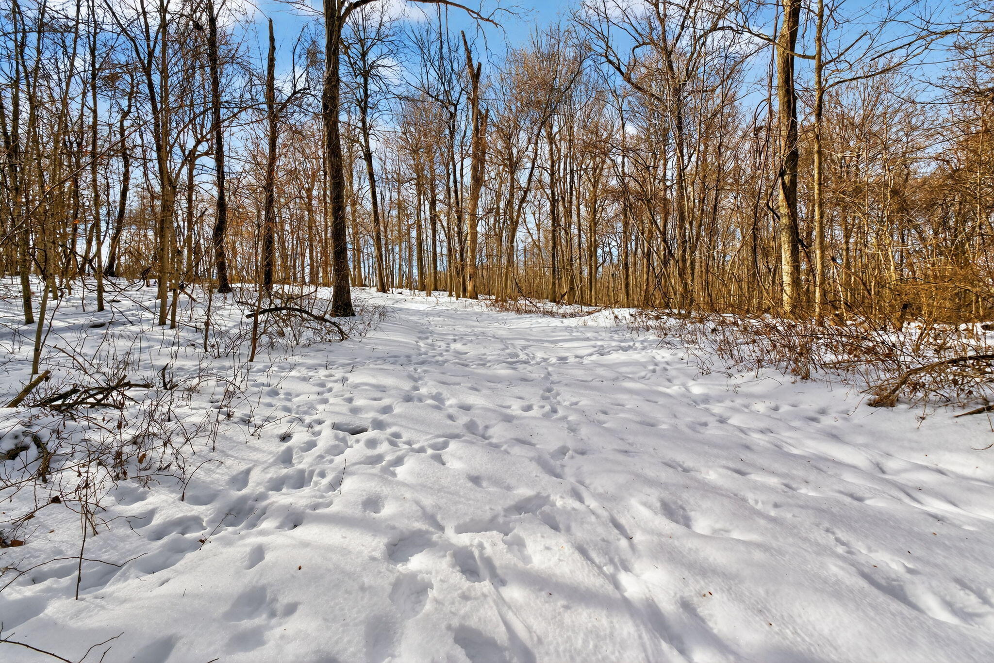 0 Township Road 55, Bellefontaine, Ohio 43311