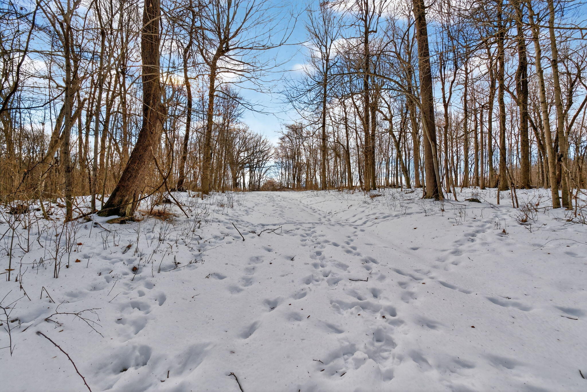 0 Township Road 55, Bellefontaine, Ohio 43311