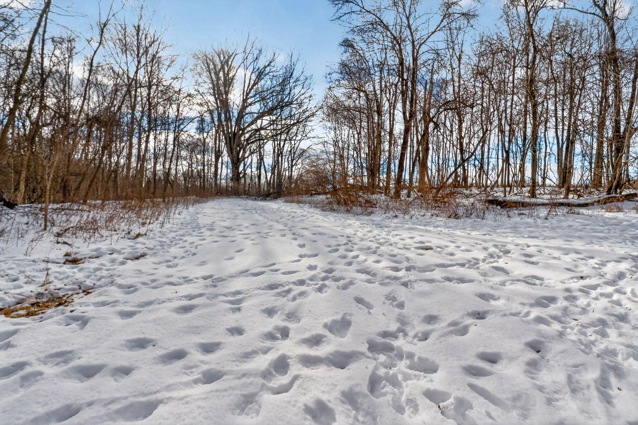 0 Township Road 55, Bellefontaine, Ohio 43311