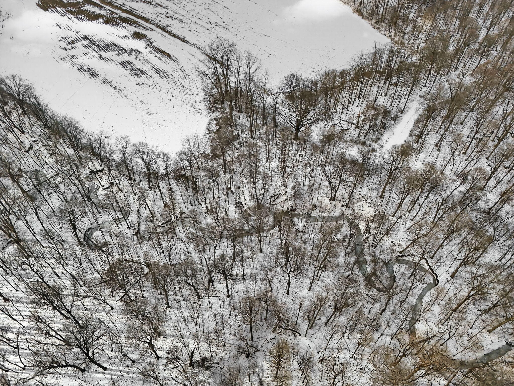 0 Township Road 55, Bellefontaine, Ohio 43311