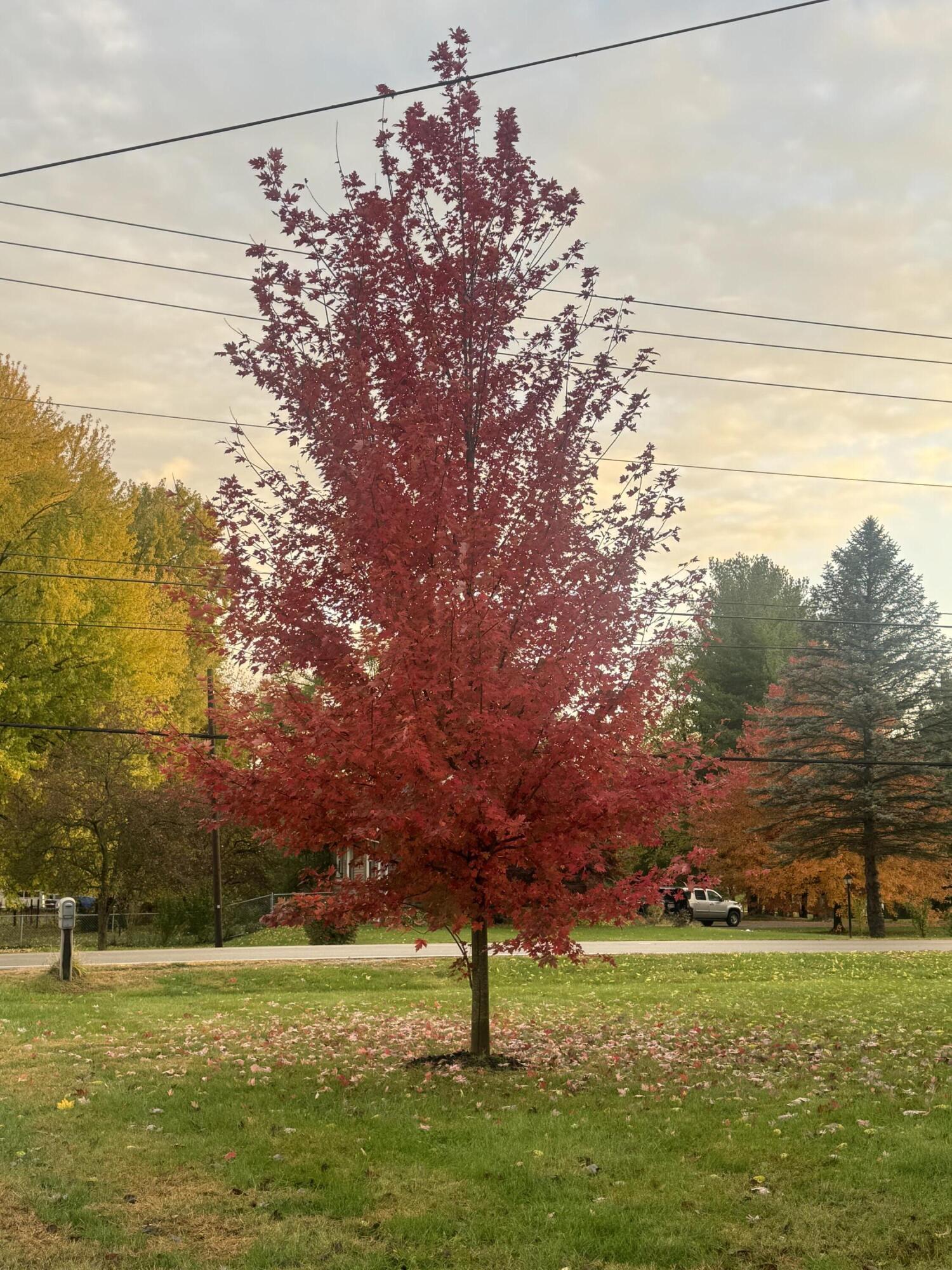 1597 Old Staunton Road, Troy, Ohio 45373