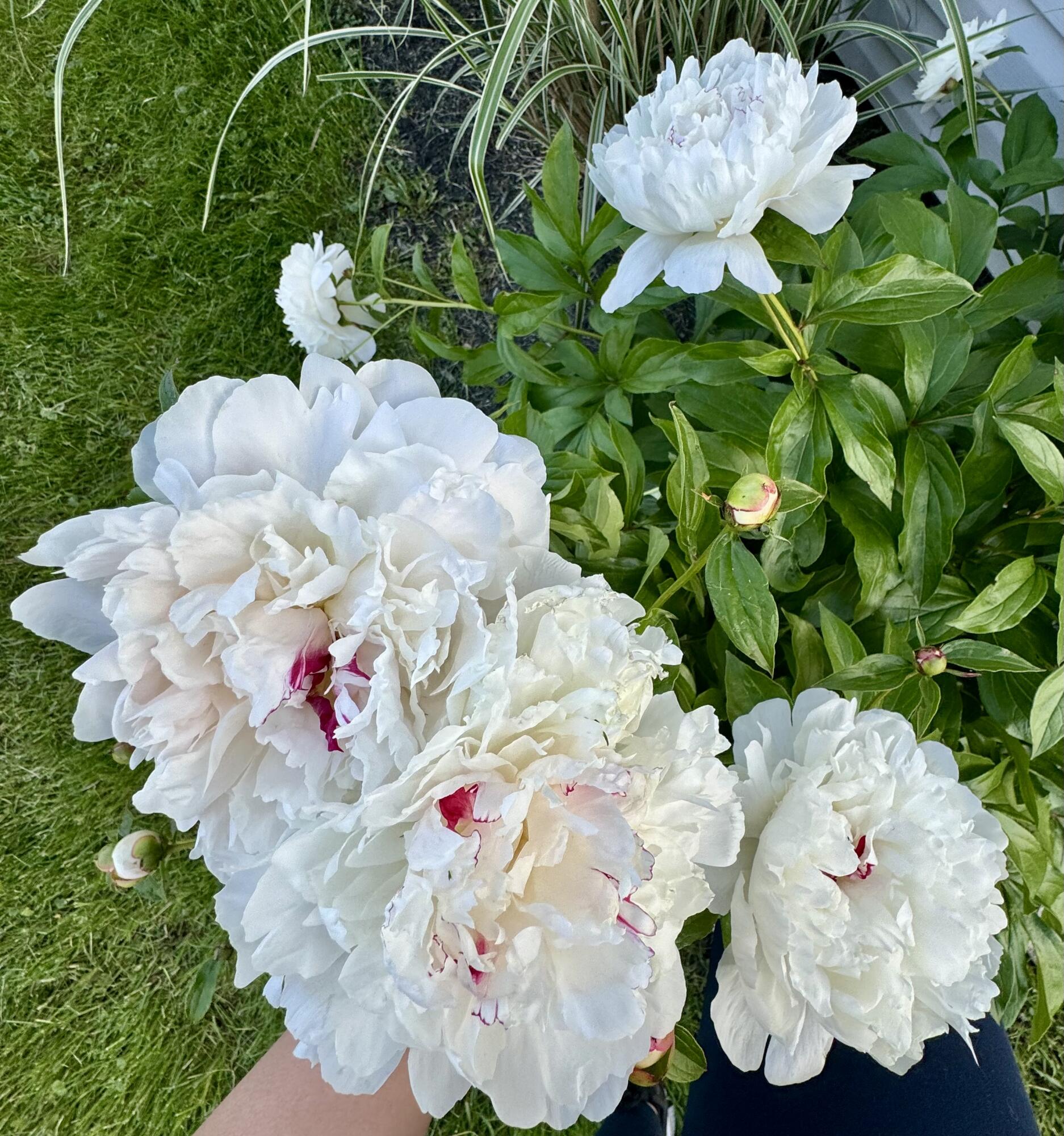 1597 Old Staunton Road, Troy, Ohio 45373