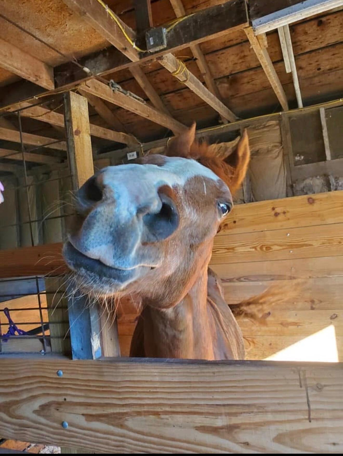 4505 Alcony Conov Road, Casstown, Ohio 45312