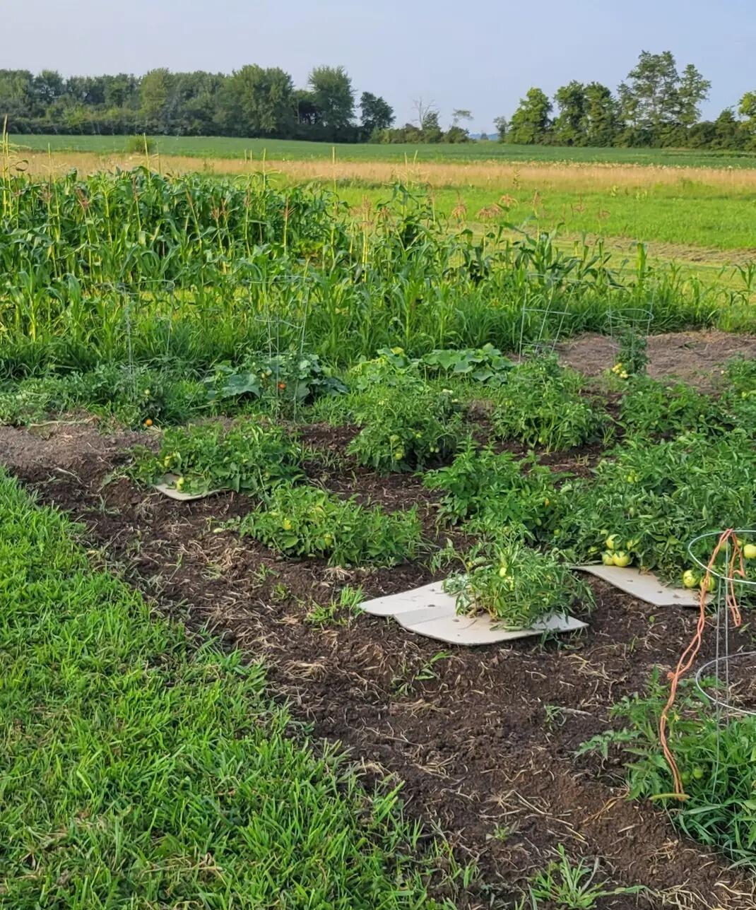 4505 Alcony Conov Road, Casstown, Ohio 45312