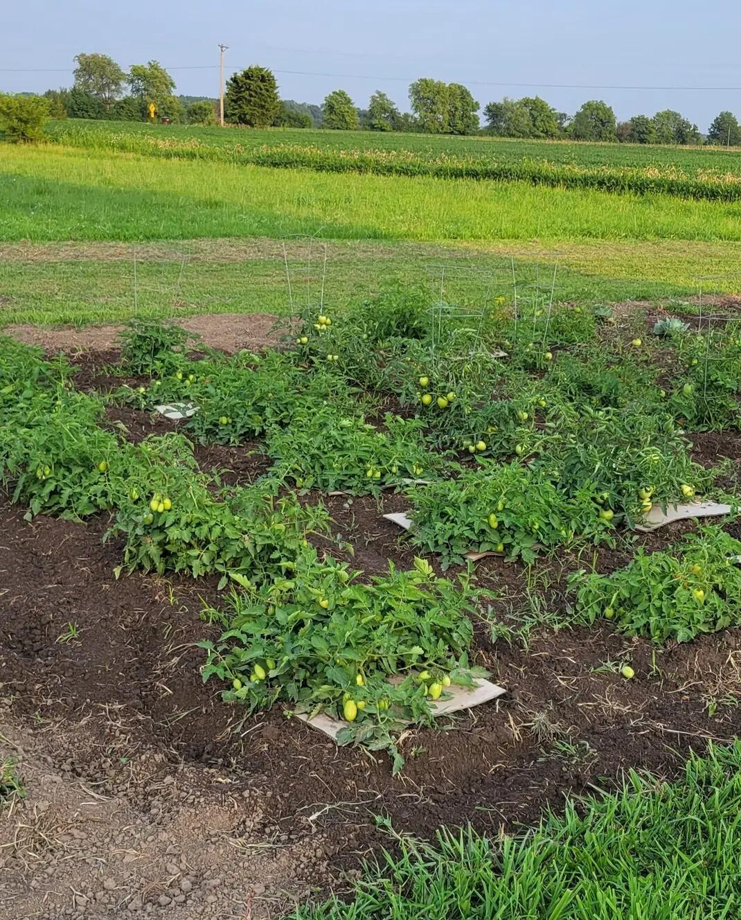 4505 Alcony Conov Road, Casstown, Ohio 45312