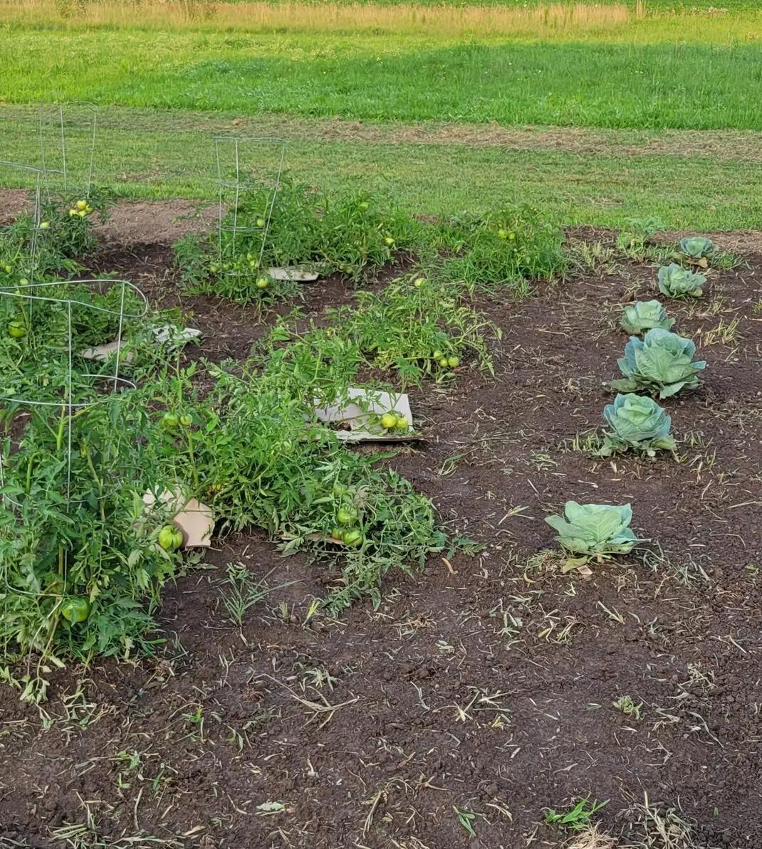 4505 Alcony Conov Road, Casstown, Ohio 45312