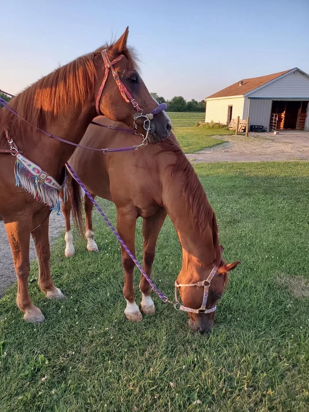 4505 Alcony Conov Road, Casstown, Ohio 45312