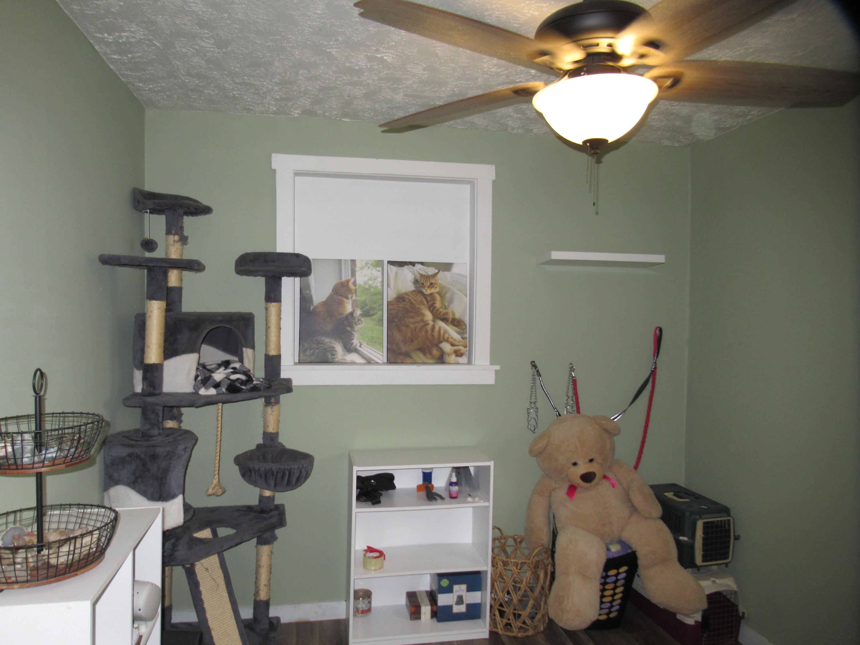 442 Orville Street, Fairborn, Ohio 45324