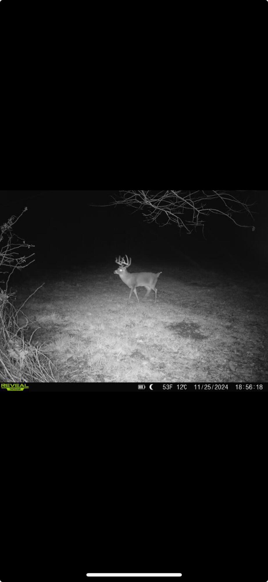 0 County Road 5, Zanesfield, Ohio 43360