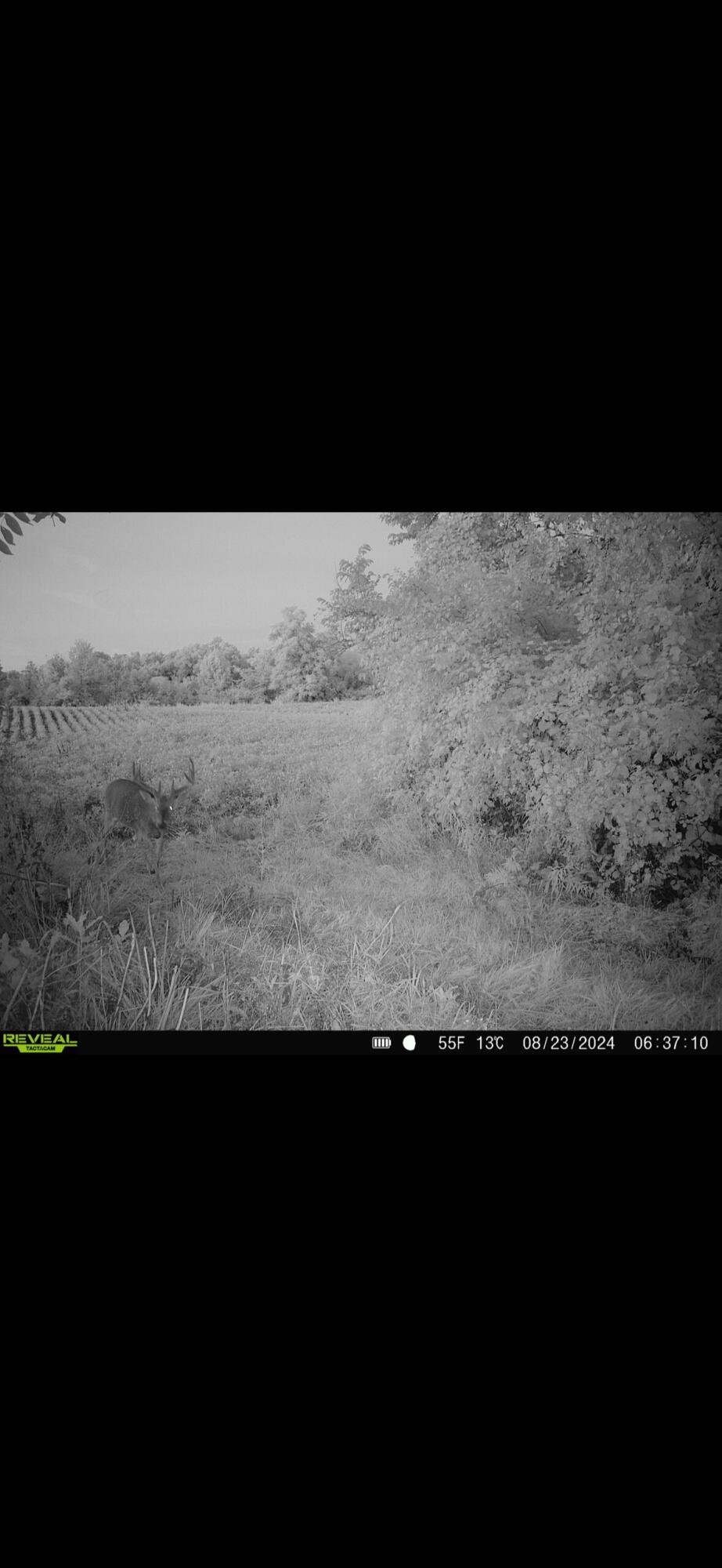 0 County Road 5, Zanesfield, Ohio 43360