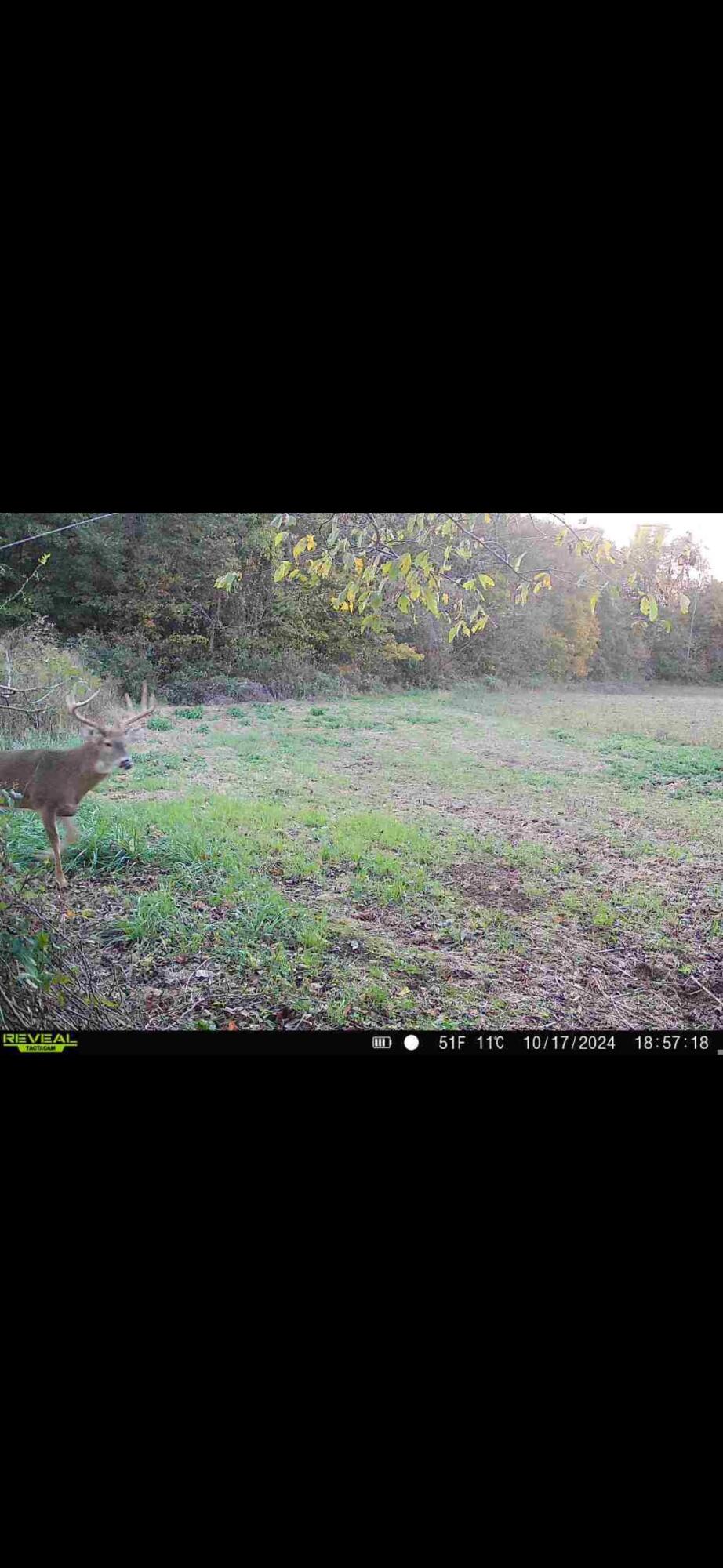 0 County Road 5, Zanesfield, Ohio 43360