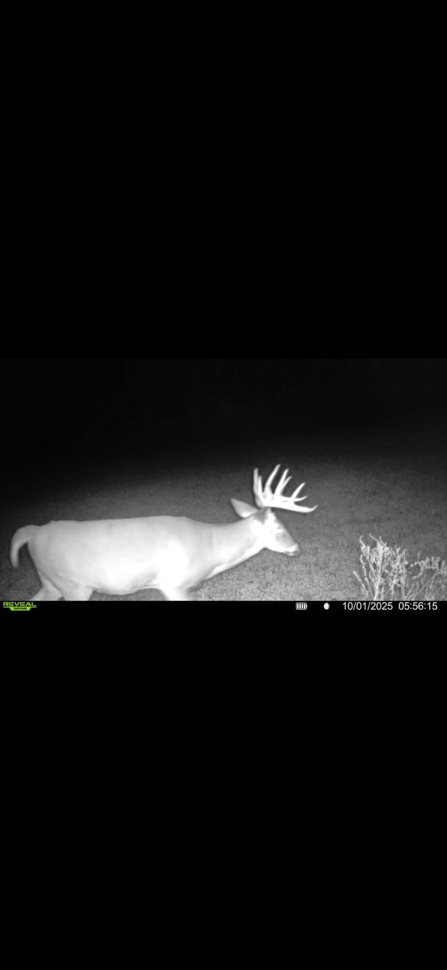 0 County Road 5, Zanesfield, Ohio 43360