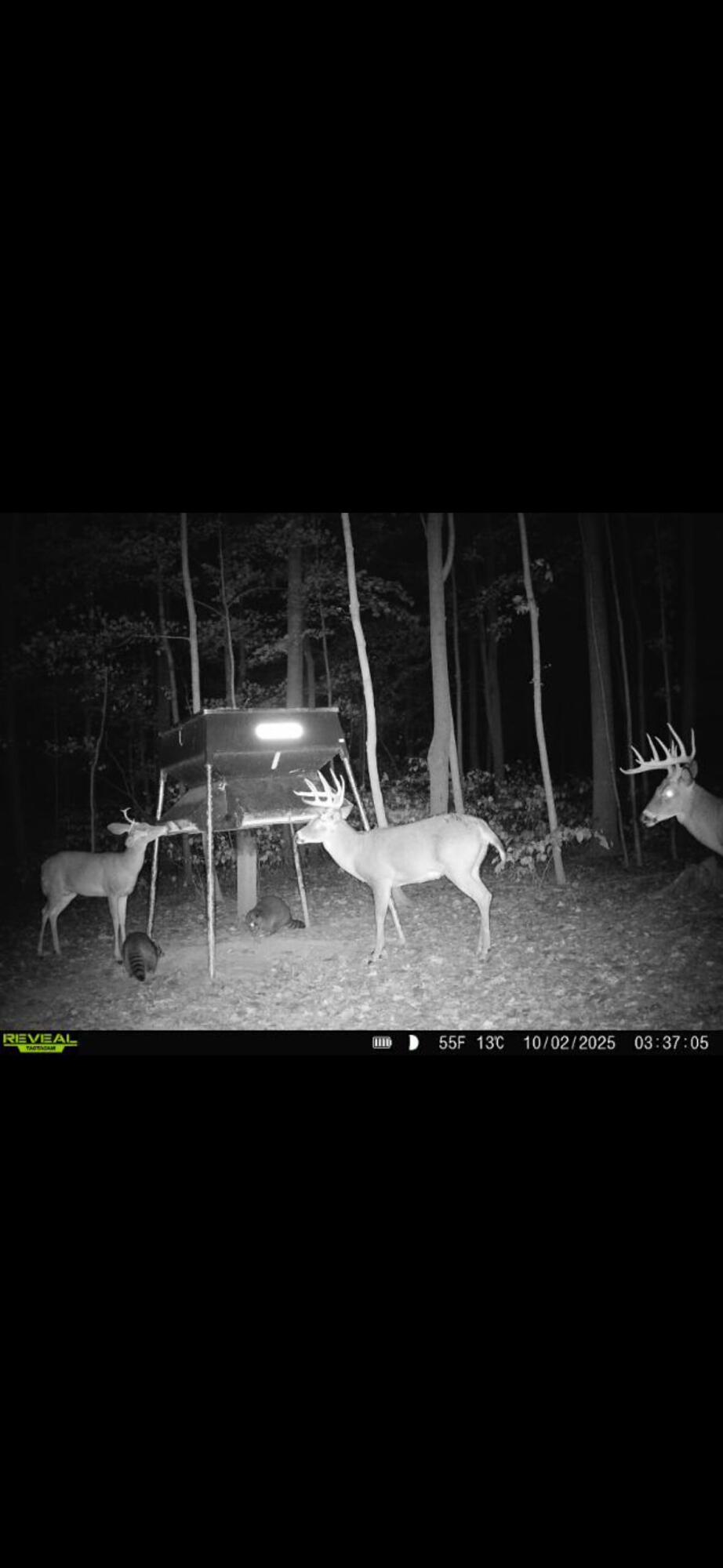 0 County Road 5, Zanesfield, Ohio 43360