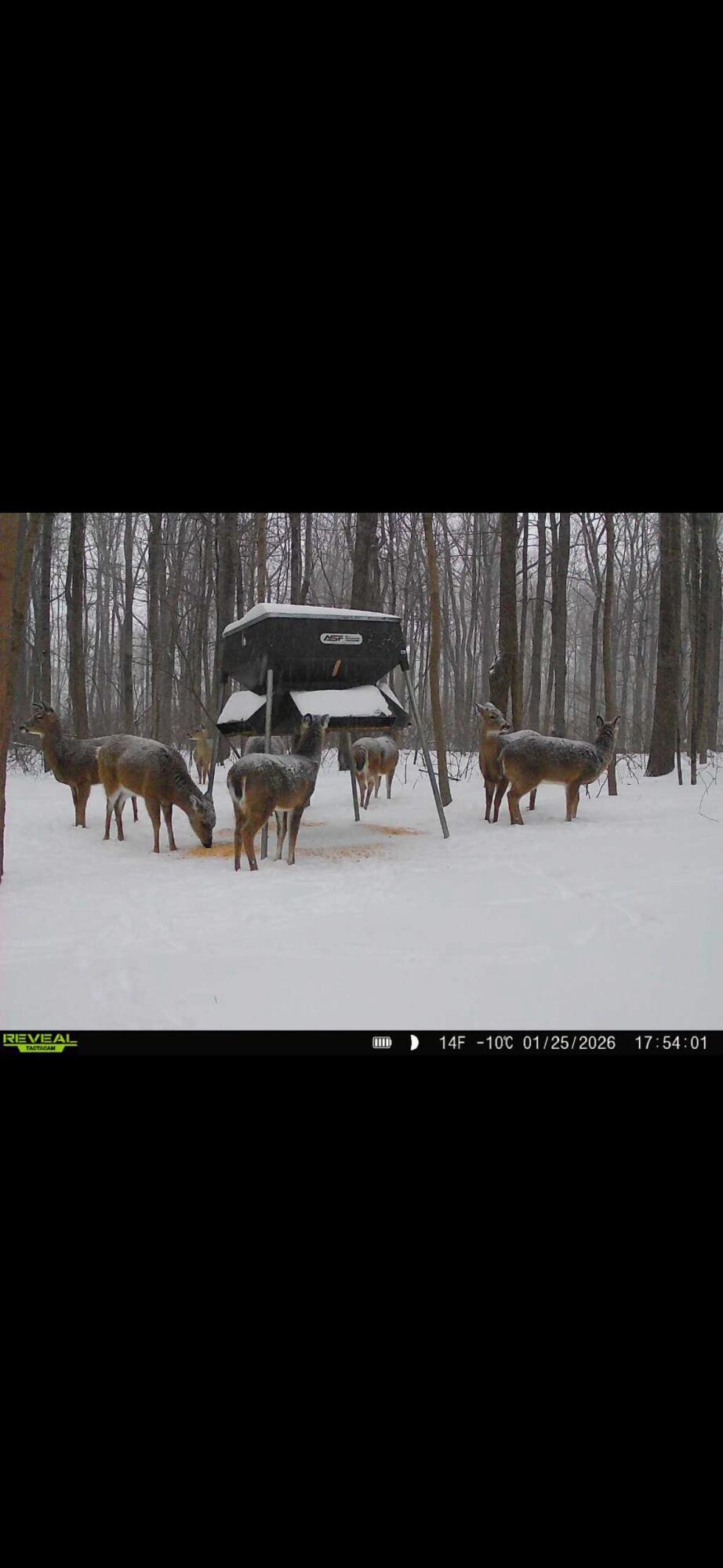 0 County Road 5, Zanesfield, Ohio 43360