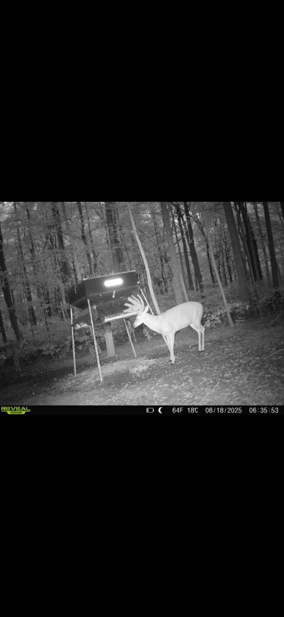 0 County Road 5, Zanesfield, Ohio 43360