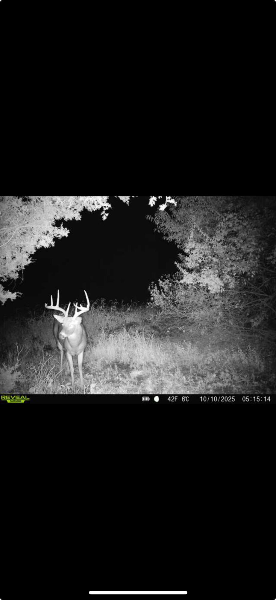 0 County Road 5, Zanesfield, Ohio 43360