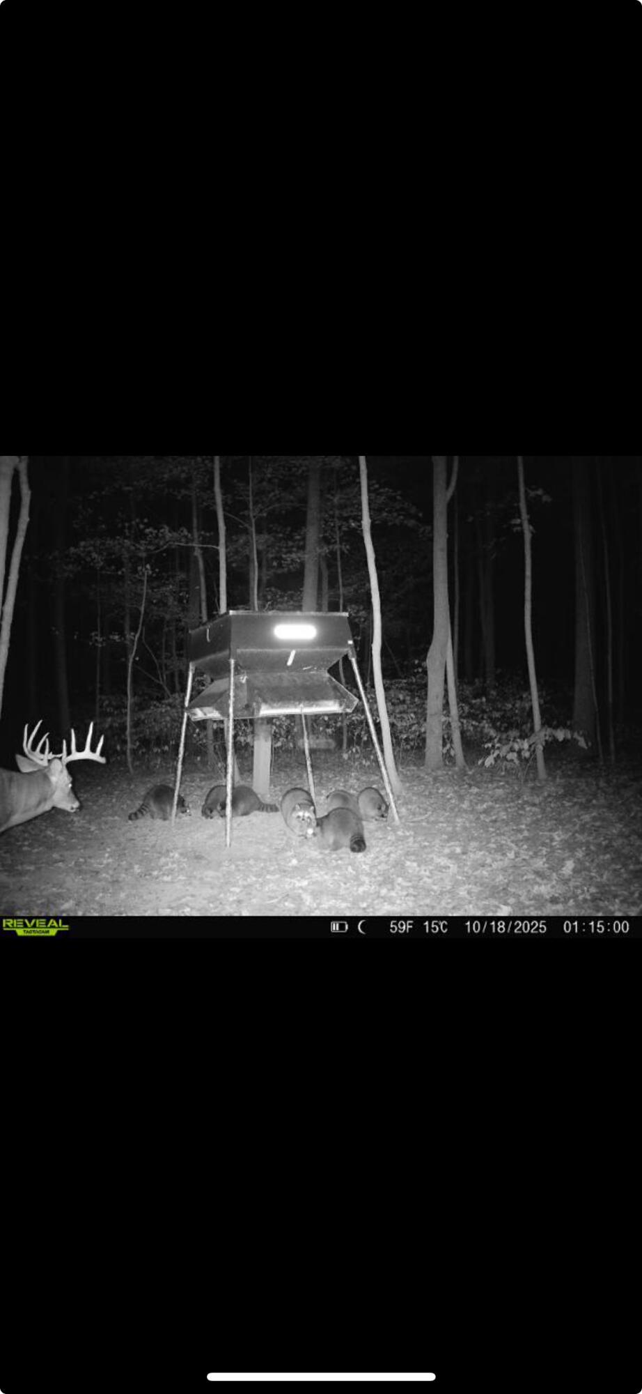 0 County Road 5, Zanesfield, Ohio 43360