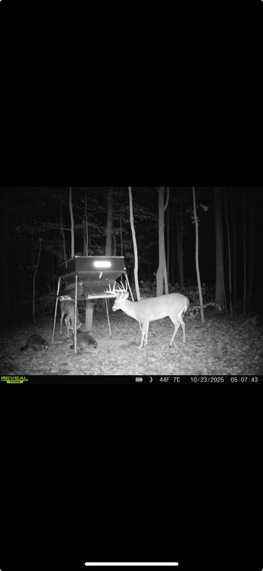 0 County Road 5, Zanesfield, Ohio 43360