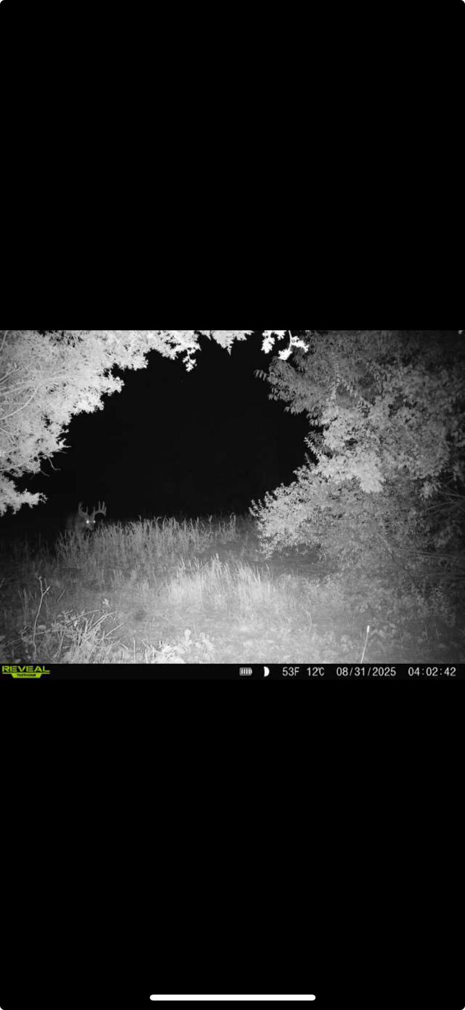 0 County Road 5, Zanesfield, Ohio 43360