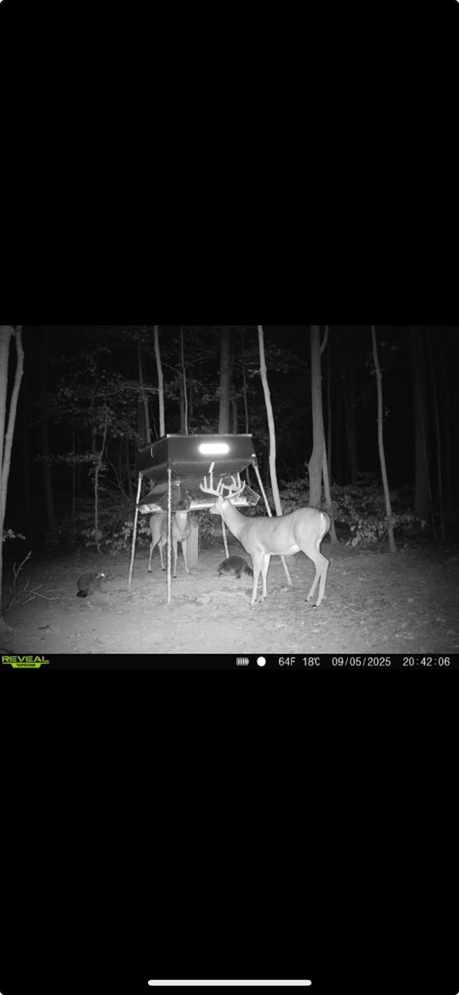 0 County Road 5, Zanesfield, Ohio 43360