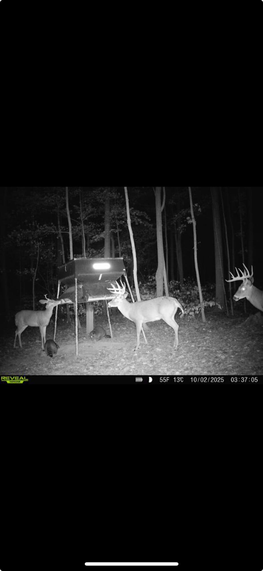 0 County Road 5, Zanesfield, Ohio 43360