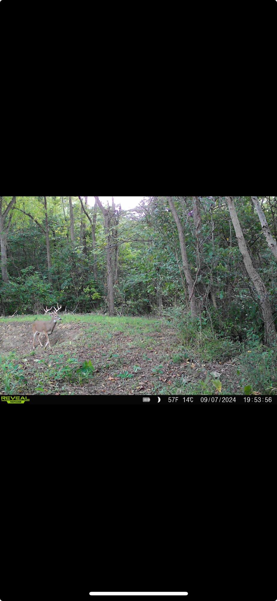 0 County Road 5, Zanesfield, Ohio 43360