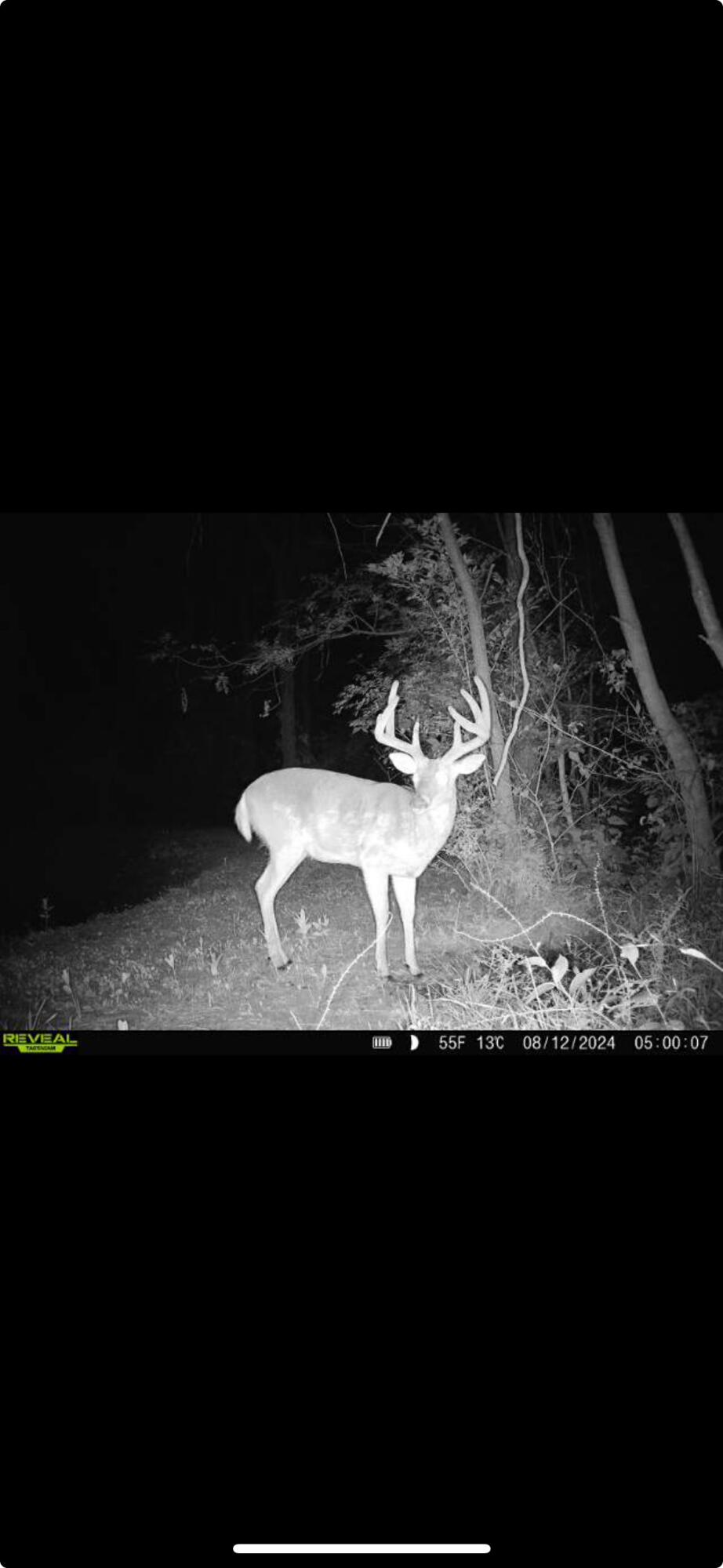 0 County Road 5, Zanesfield, Ohio 43360