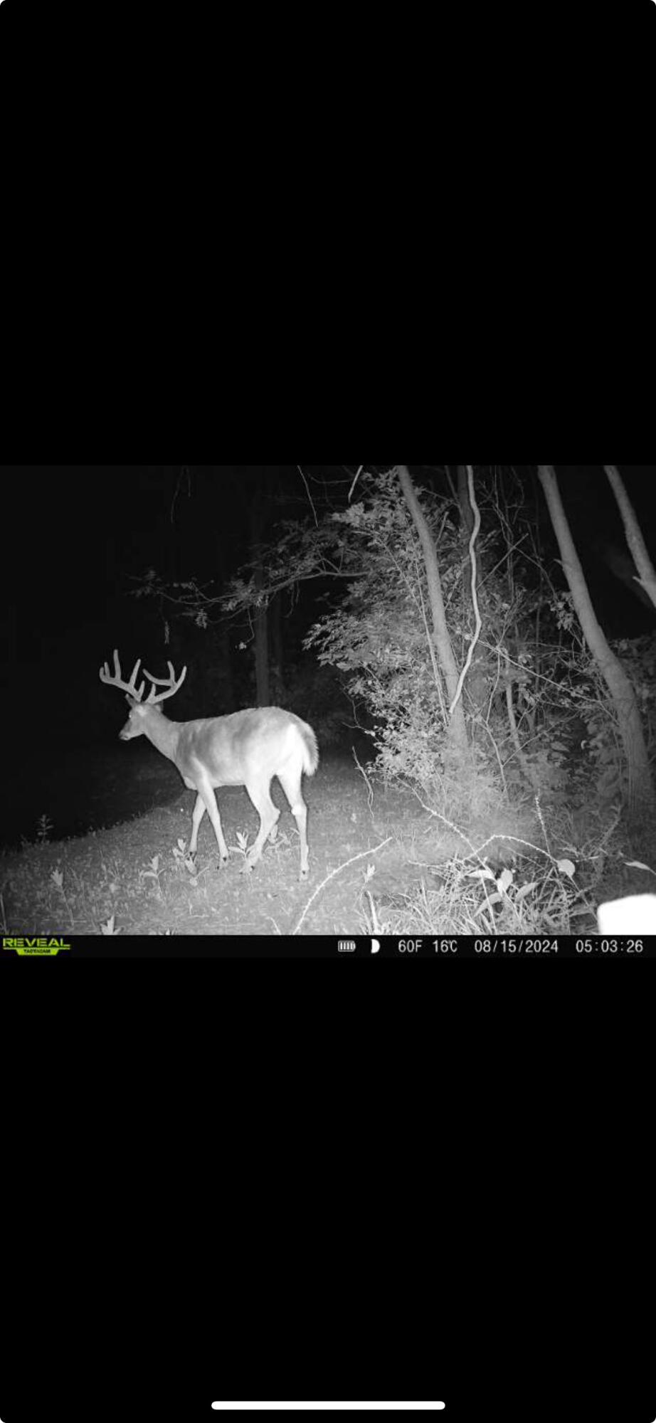 0 County Road 5, Zanesfield, Ohio 43360