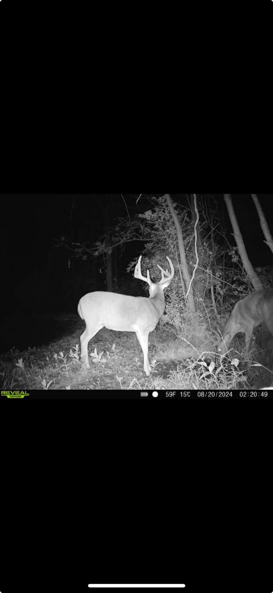 0 County Road 5, Zanesfield, Ohio 43360