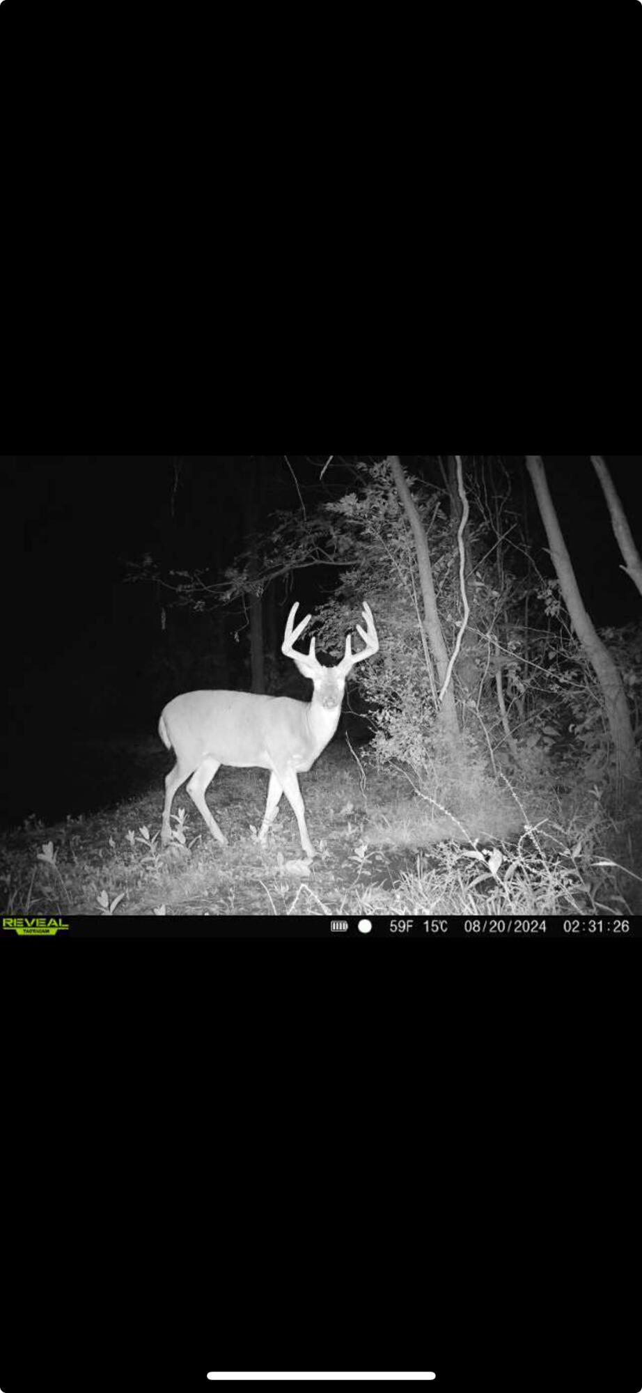 0 County Road 5, Zanesfield, Ohio 43360