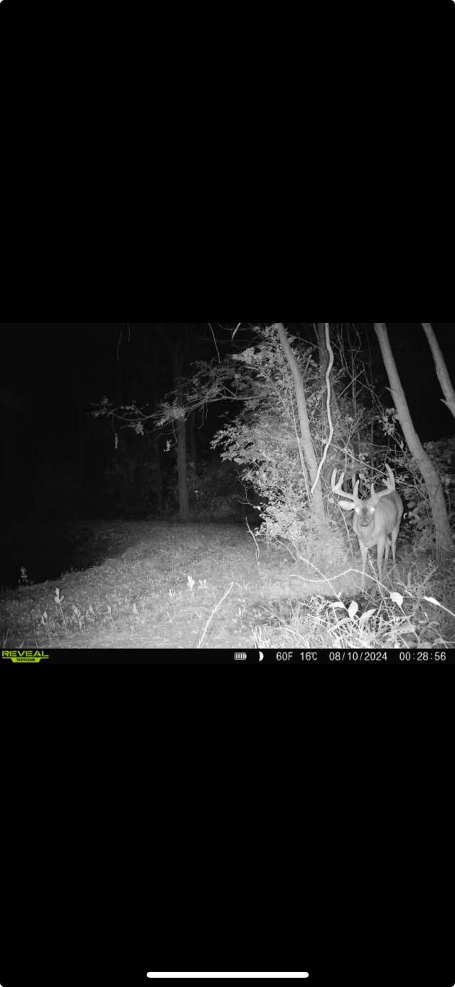 0 County Road 5, Zanesfield, Ohio 43360