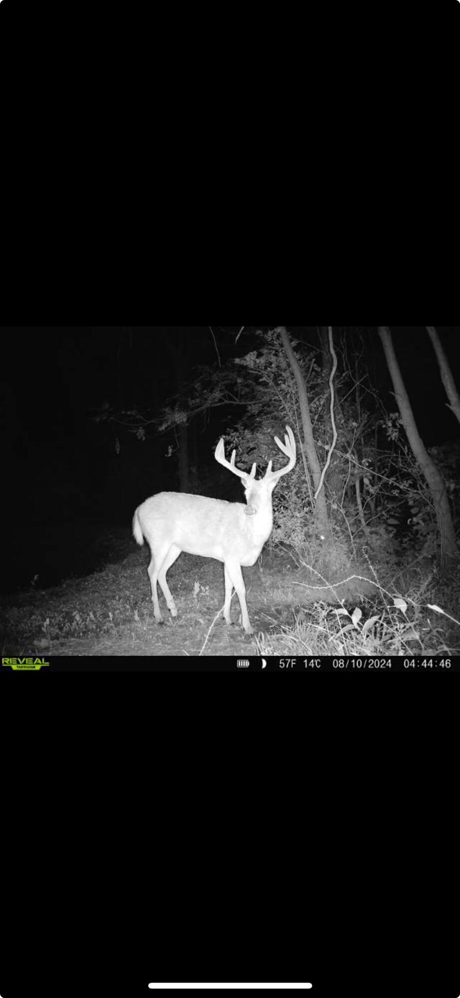 0 County Road 5, Zanesfield, Ohio 43360