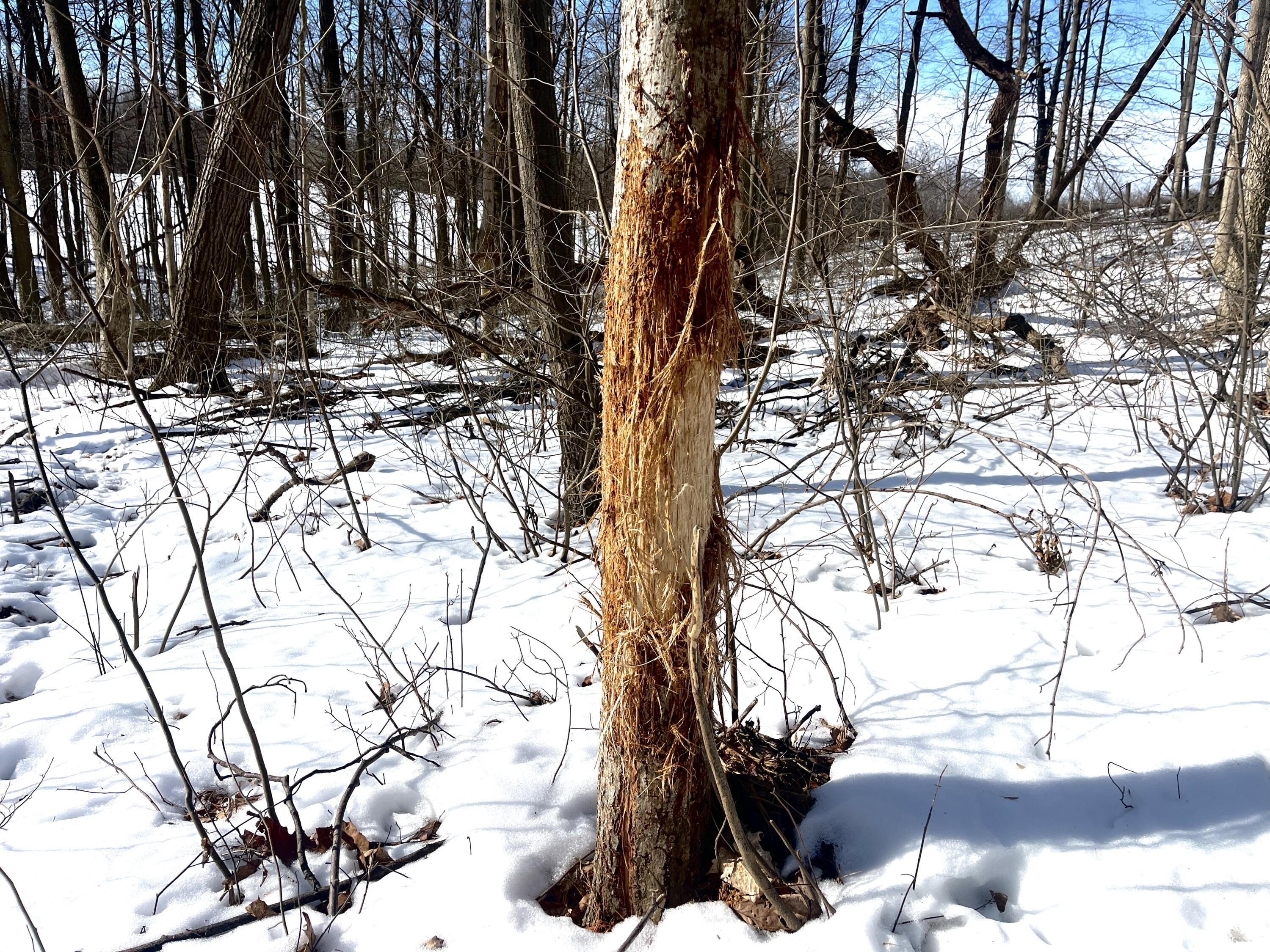 0 County Road 5, Zanesfield, Ohio 43360