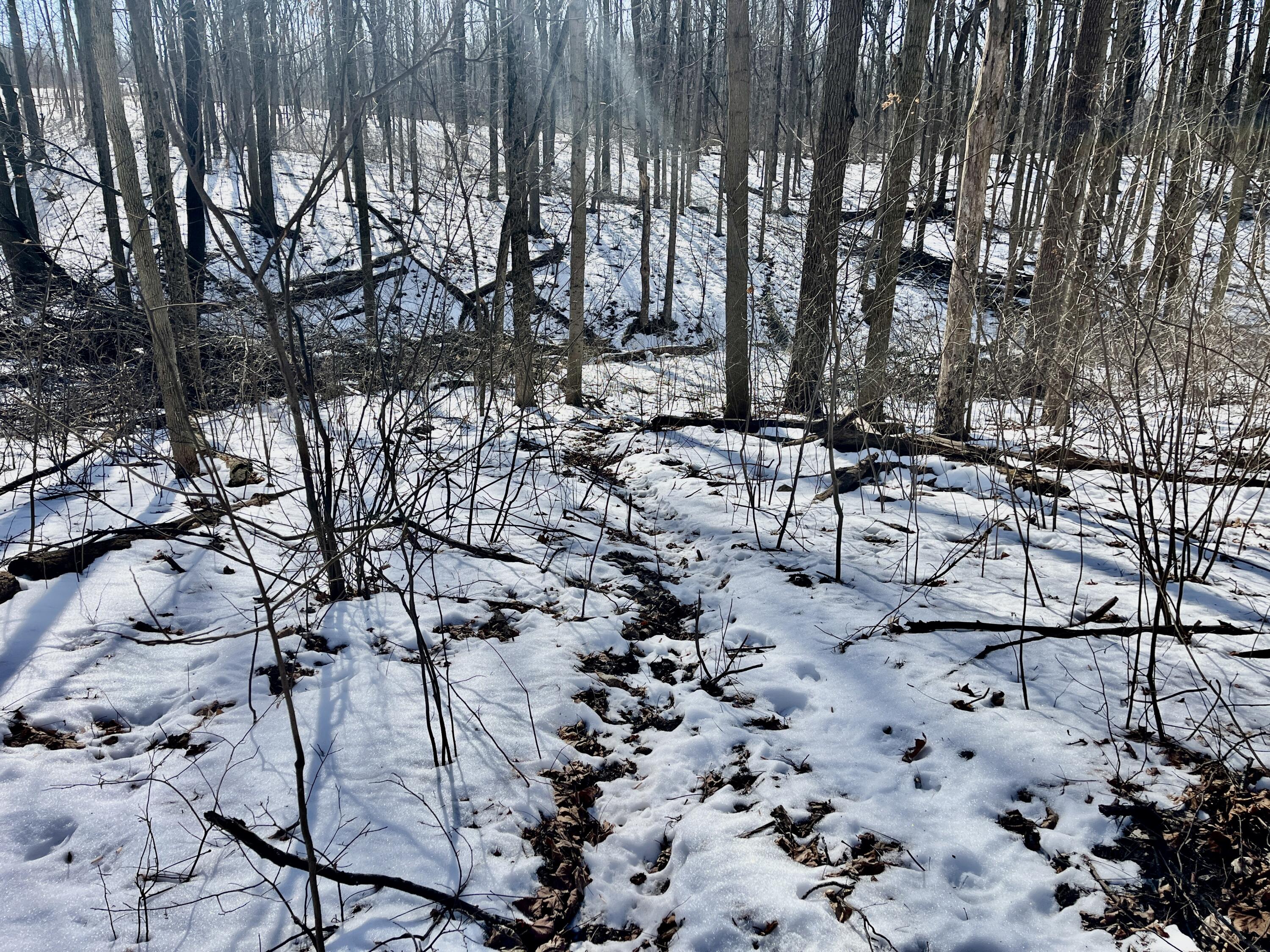 0 County Road 5, Zanesfield, Ohio 43360