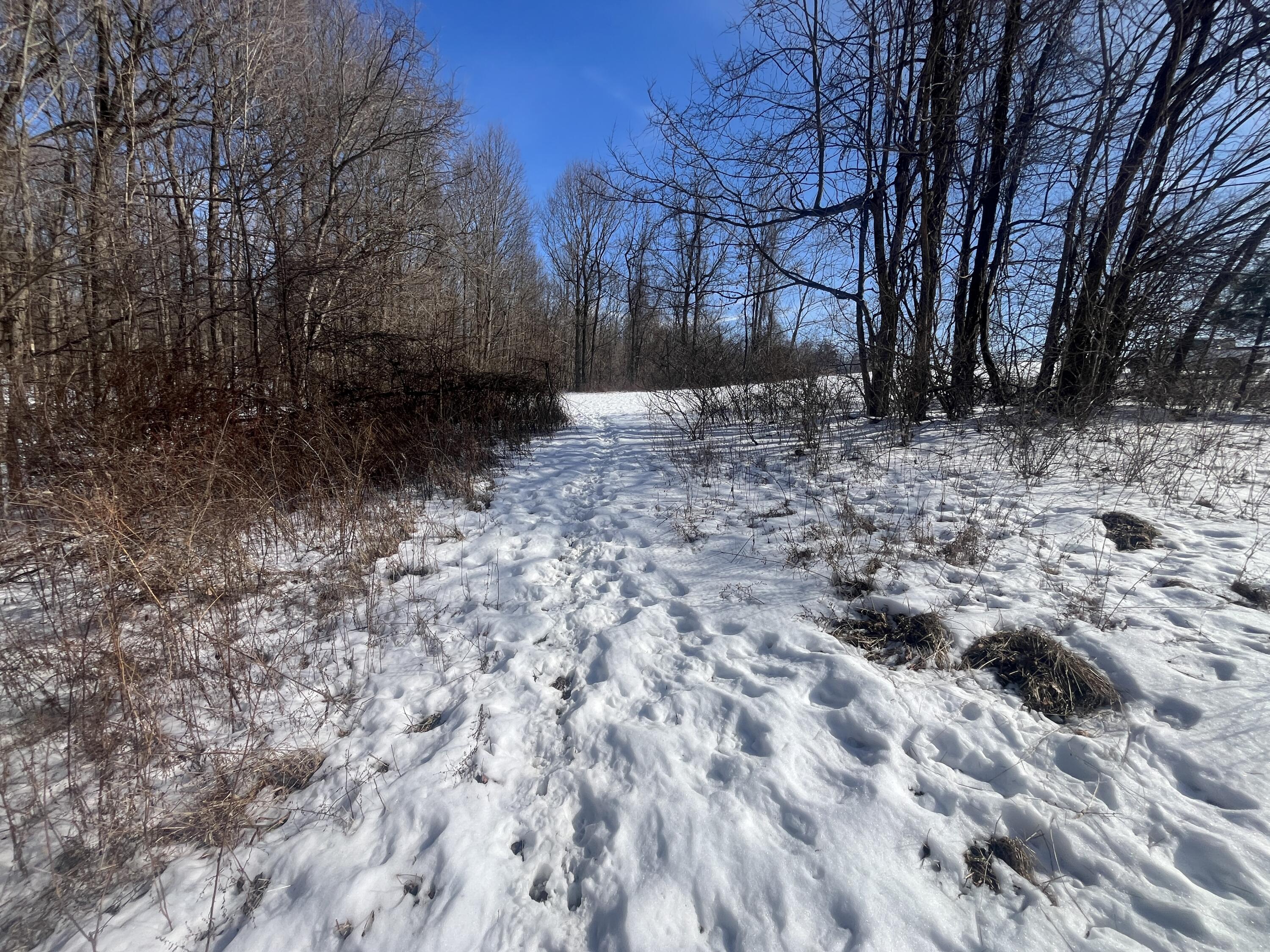 0 County Road 5, Zanesfield, Ohio 43360