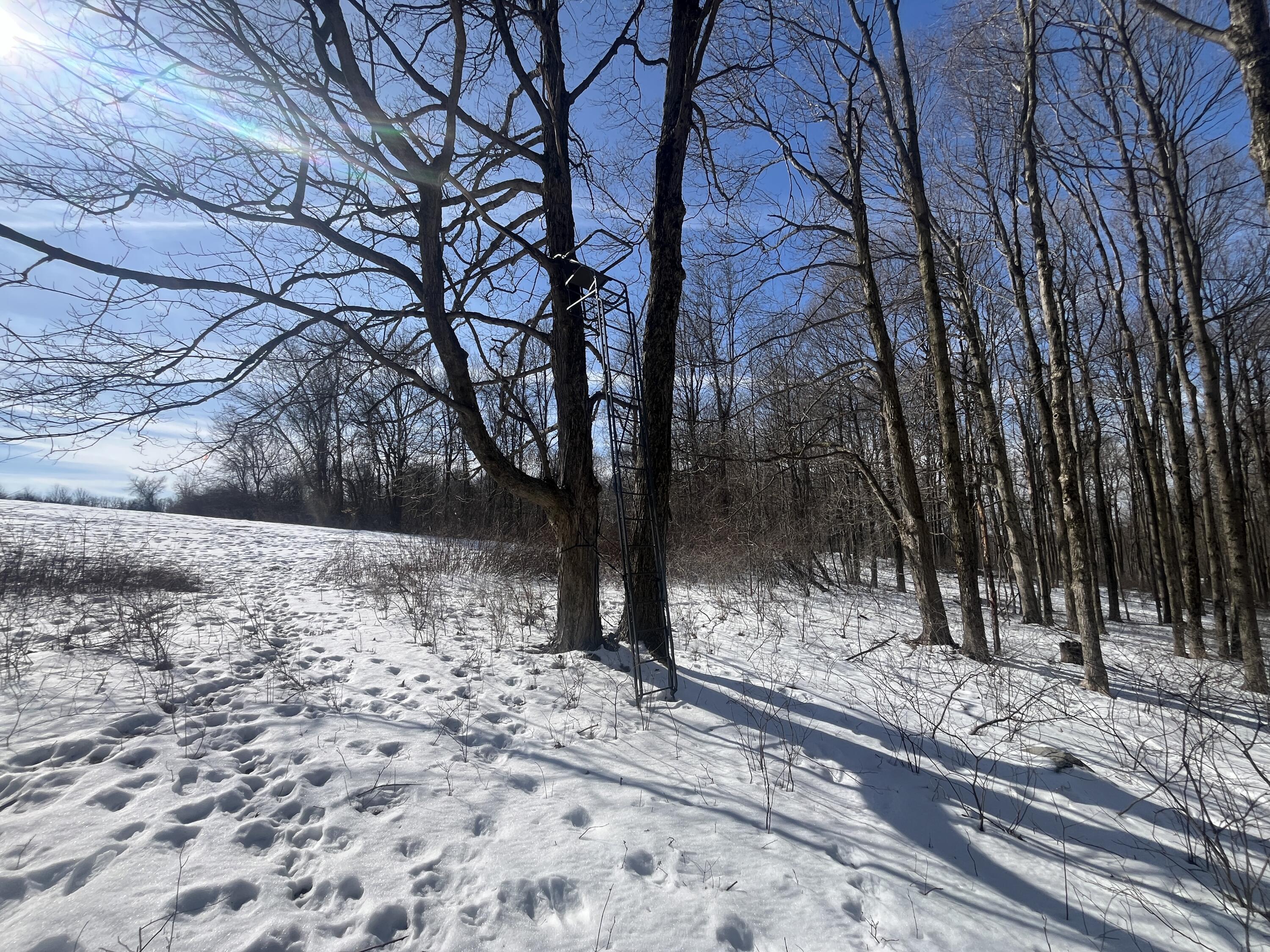 0 County Road 5, Zanesfield, Ohio 43360