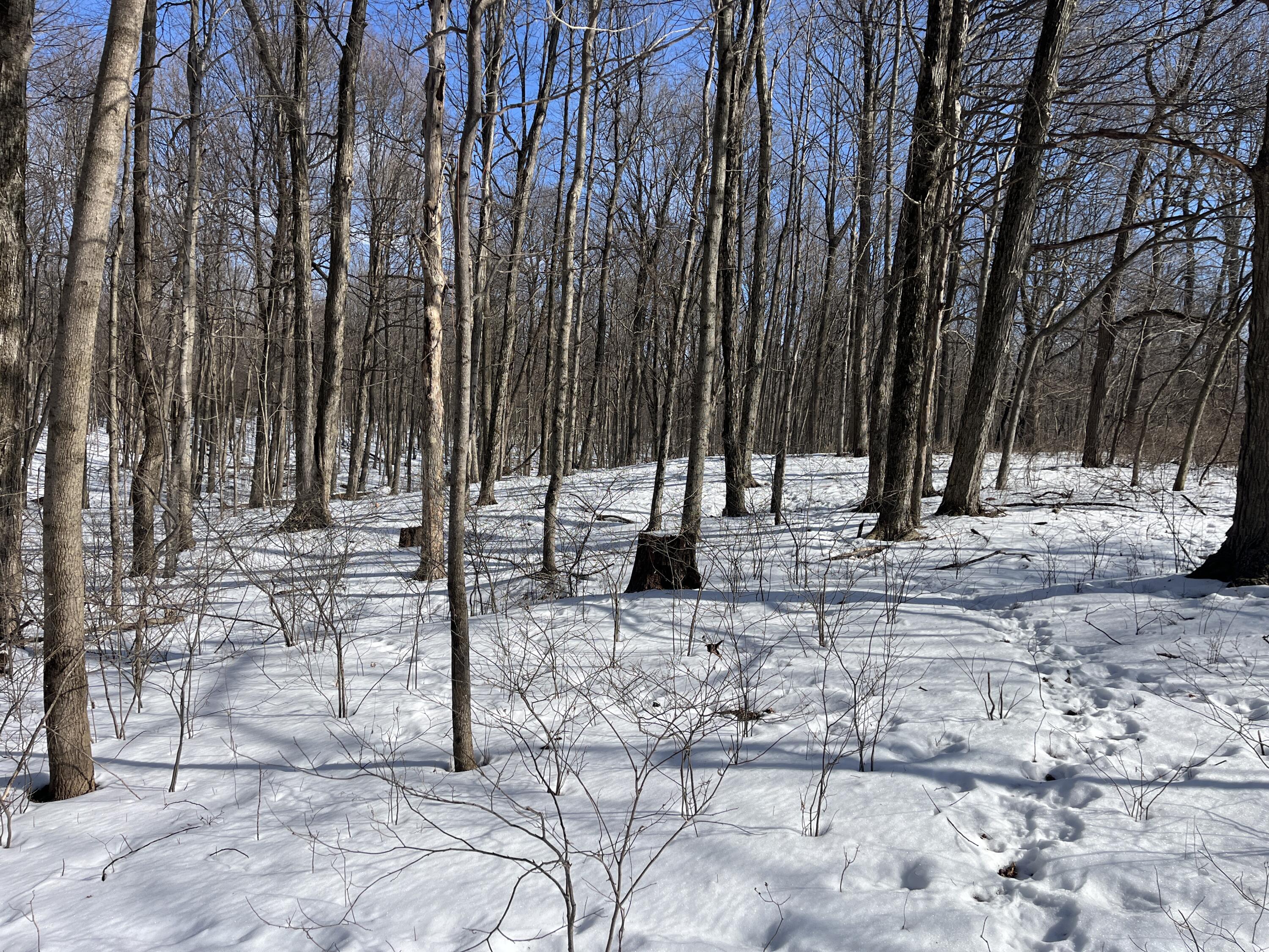 0 County Road 5, Zanesfield, Ohio 43360