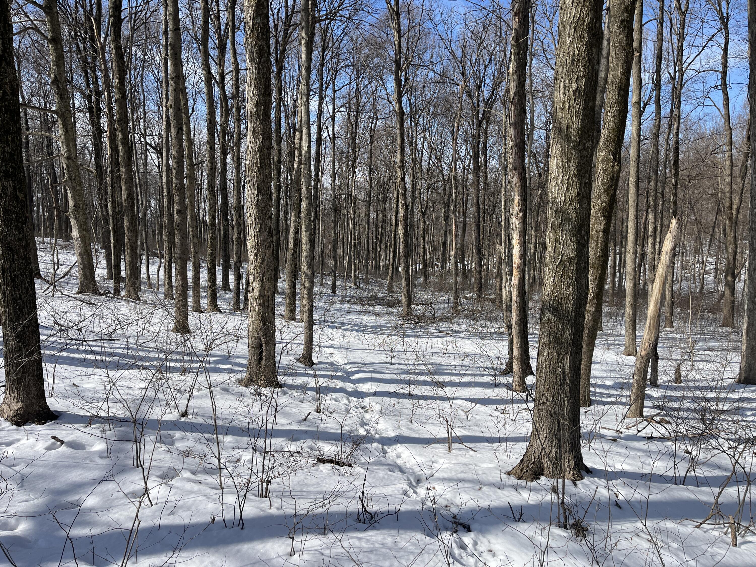 0 County Road 5, Zanesfield, Ohio 43360